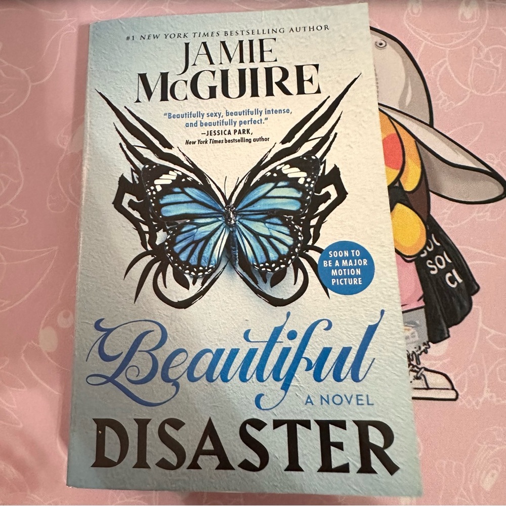 Beautiful Disaster Book